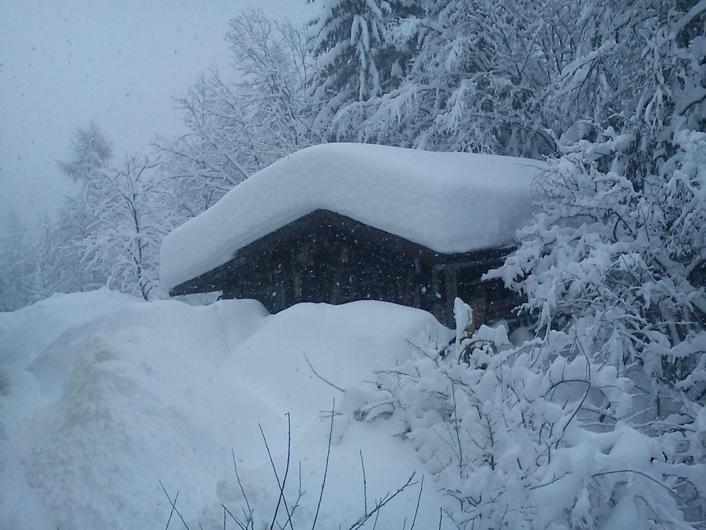Waldhaus Sankt Martin am Tennengebirge Exterior foto