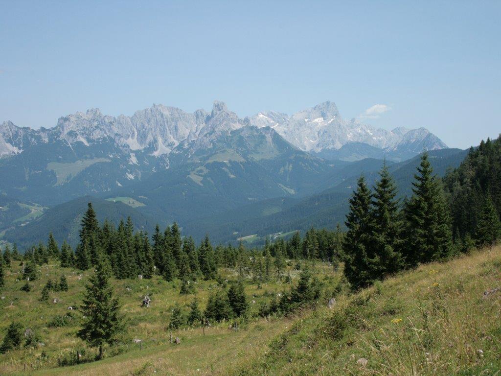 Waldhaus Sankt Martin am Tennengebirge Exterior foto